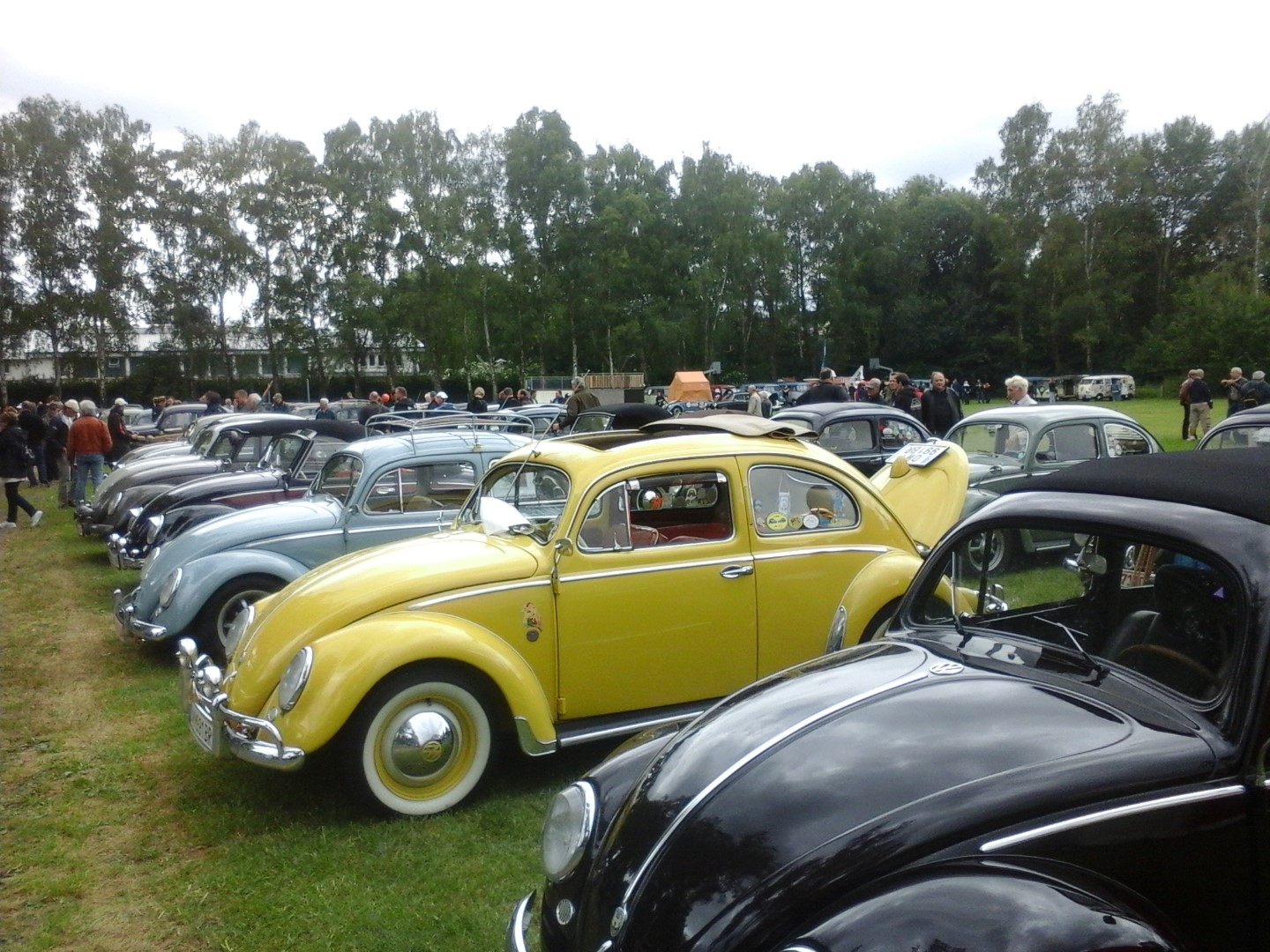 2015-06-19 bis 20 VW-Kfertreffen Bad Camberg